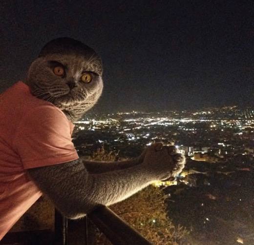 overlooking the city