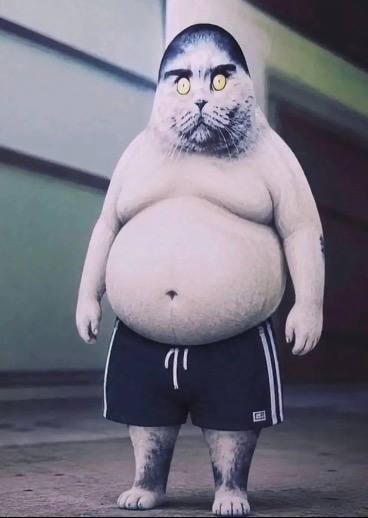 Folkcat standing